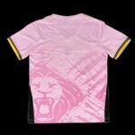Cameroon 25/26 Pink  S-XXL - Image 2