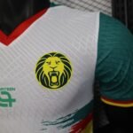 Player Version Cameroon 25/26 White  S-XXL - Image 4