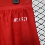 Player Version Shorts Bayern München 25/26 Red S-XXL - Image 3