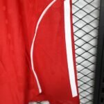 Player Version Shorts Bayern München 25/26 Red S-XXL - Image 5