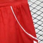 Player Version Shorts Bayern München 25/26 Red S-XXL - Image 7