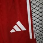 Player Version Shorts Bayern München 25/26 Red S-XXL - Image 8