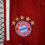 Player Version Shorts Bayern München 25/26 Red S-XXL - Image 9