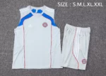 Bayern Sleevesless Training Suit D25114 - Image 3
