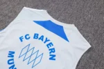 Bayern Sleevesless Training Suit D25114 - Image 4