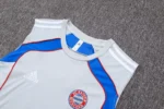 Bayern Sleevesless Training Suit D25114 - Image 8