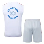 Bayern Sleevesless Training Suit D25104 - Image 2