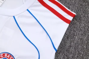 Bayern Sleevesless Training Suit D25104 - Image 7