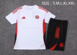 Short Sleeves Bayern Training suit  D2594 - Image 3