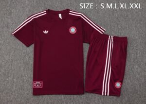 Short Sleeves Bayern Training suit  D2527 - Image 3