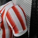 Player Version Inter Milan 25/26 Special S-XXL - Image 9