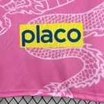 Santos 25/26 Special Kit - Image 8