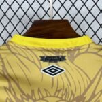 Santos 25/26 Special Kit - Image 18
