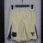 Player Version Shorts 25/26 Barcelon Yellow
