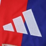 Lyon 25/26 Home S-4XL - Image 6