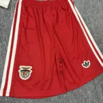 Kids Benfica Icon 25/26 16-28 - Image 6