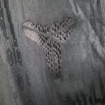 Player Version Shorts 25/26 Barcelon Away - Image 4