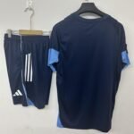 Al Nassr 25/26 Training Short Sleeves S-3XL - Image 2