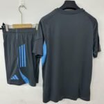 Newcastle 25/26 Training Short Sleeves S-3XL - Image 2