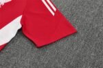 Men/ Kids LVP 25/26 Red Training Short Sleeves - Image 9