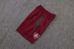 Men/ Kids Fluminense 25/26 Training Short Sleeves - Image 13