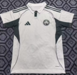 Panathinaikos F.C. 25/26 Away S-XXL Fan Version