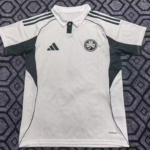 Panathinaikos F.C. 25/26 Away S-XXL Fan Version