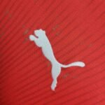 2026 World Cup Switzerland Home Jersey S-4XL Fan Version - Image 4