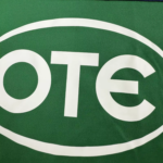 Retro Panathinaikos F.C. 00/01 Home Jersey S-XXL - Image 3