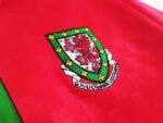 Retro 1996/98 Wales Home  Jersey S-XXL - Image 5