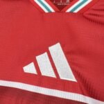 2026 Wales Home Jersey S-4XL - Image 3