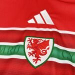 2026 Wales Home Jersey S-4XL - Image 5