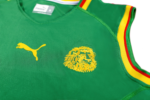 Retro Cameroon 2002 Home Sleevsless S-XXL - Image 8
