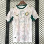 2026 World Cup Senegal Home Jersey S-XXL