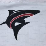 2526 season Cape Verde Away Jersey Fan version - Image 3