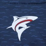 2526 season Cape Verde Home Jersey Fan version - Image 3