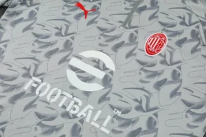 AC 25/26 Half Zipper Training Suit Gray - Image 6