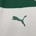 25/26 Palmeiras Special Jersey S-4XL - Image 7