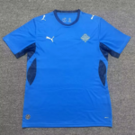 Iceland 2025/26 Home Jersey S-XXL