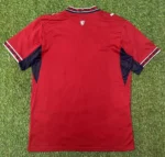 Czech 26/27 Home kit S-XXL - Image 2