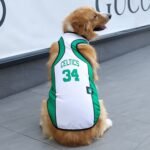 Pets Shirts - Image 12