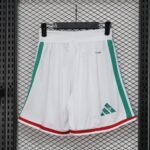 Player Version Shorts 2026 Mexico White S-XXL - Image 2