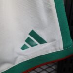 Player Version Shorts 2026 Algeria S-3XL - Image 3