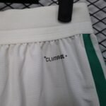Player Version Shorts 2026 Algeria S-3XL - Image 7