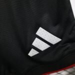 Player Version 2026 World Cup Germany Black Shorts - Image 4