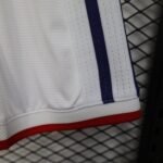 Player Version 2026 World Cup Japan White Shorts - Image 6