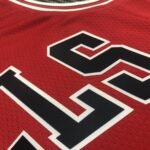 75th Anniversary Chicago Bulls Red Jersey No.24 - Image 10