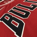 75th Anniversary Chicago Bulls Red Jersey No.6 - Image 6