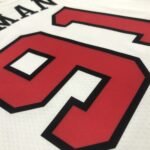 75th Anniversary Chicago Bulls White Jersey No.91 - Image 5