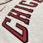23 Season Chicago Bulls City Edition Jersey No.11 - Image 8